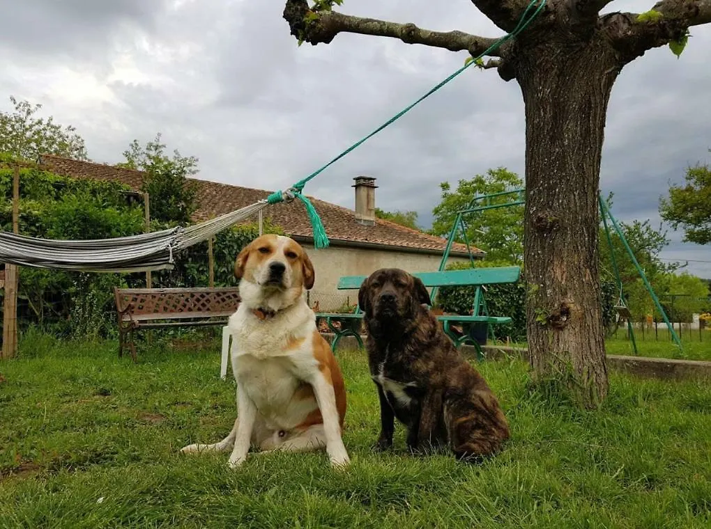Gite En Sud Ardeche Villa Ruoms 0*,